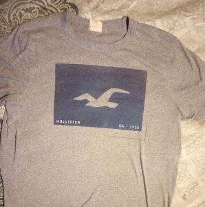 Hollister t shirt